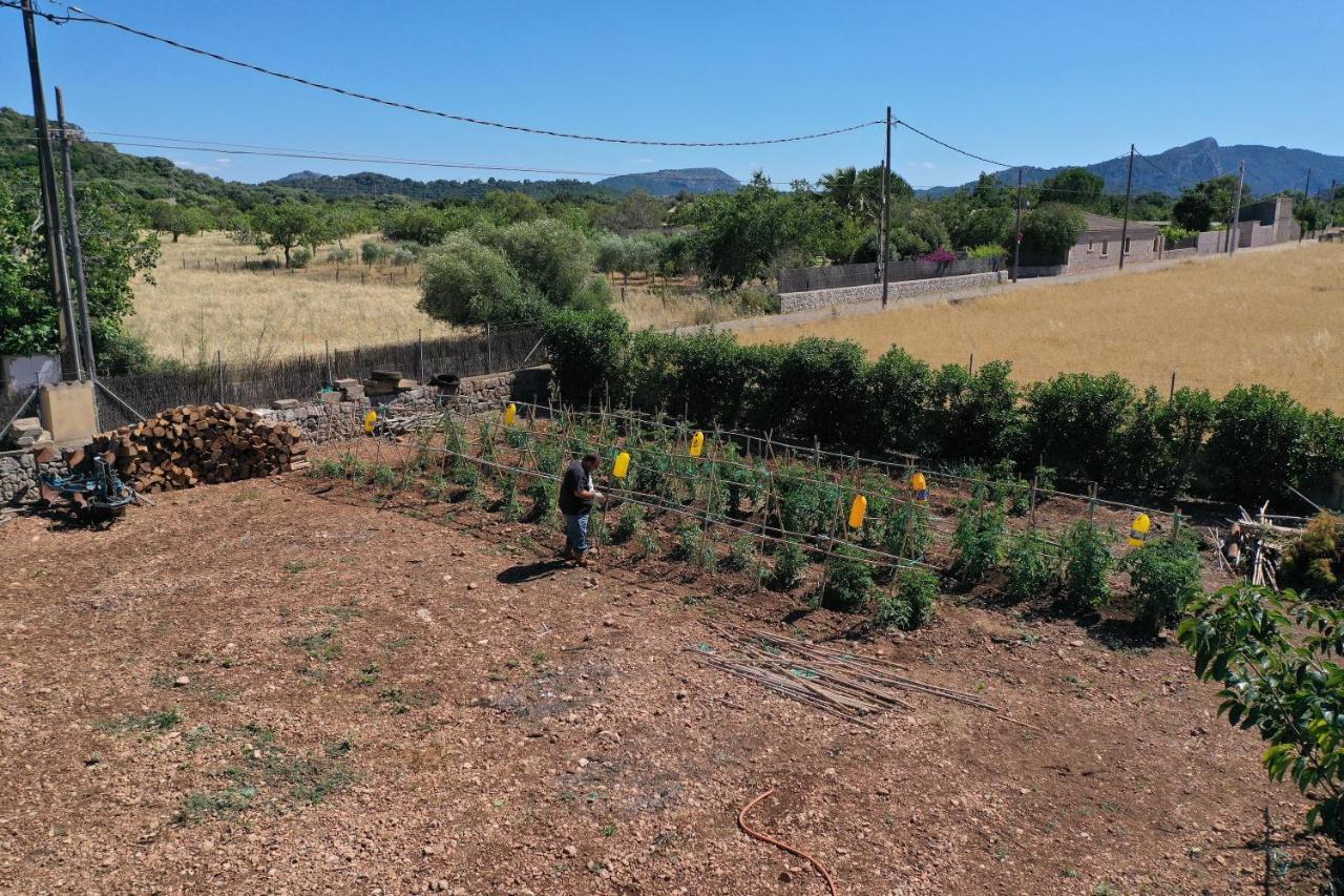 Can Seguinot Pollença Εξωτερικό φωτογραφία